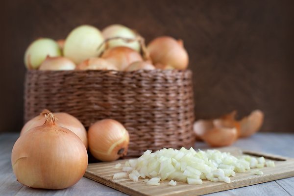 Кракен онион зеркала ссылки krmp.cc