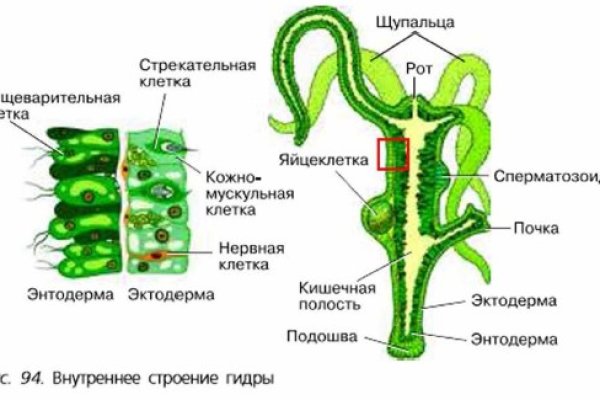 Ссылки на онион сайты 2022