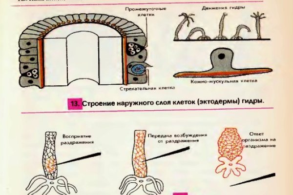 Кракен актуальная ссылка kraken torion net