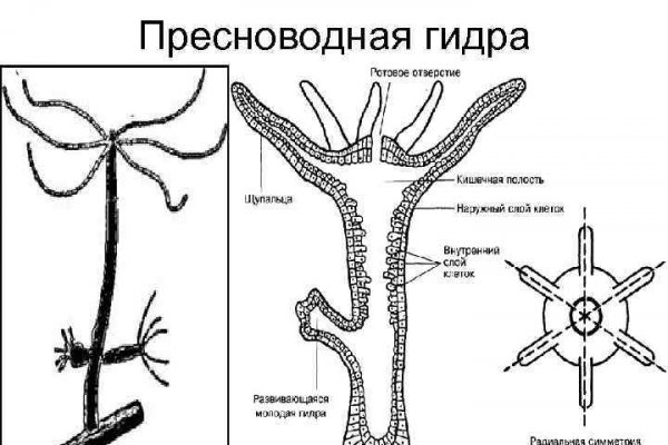 Знают ли власти про маркетплейс кракен